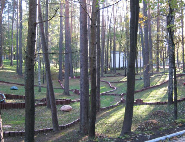 Климатолечение - Санаторий «Летцы»